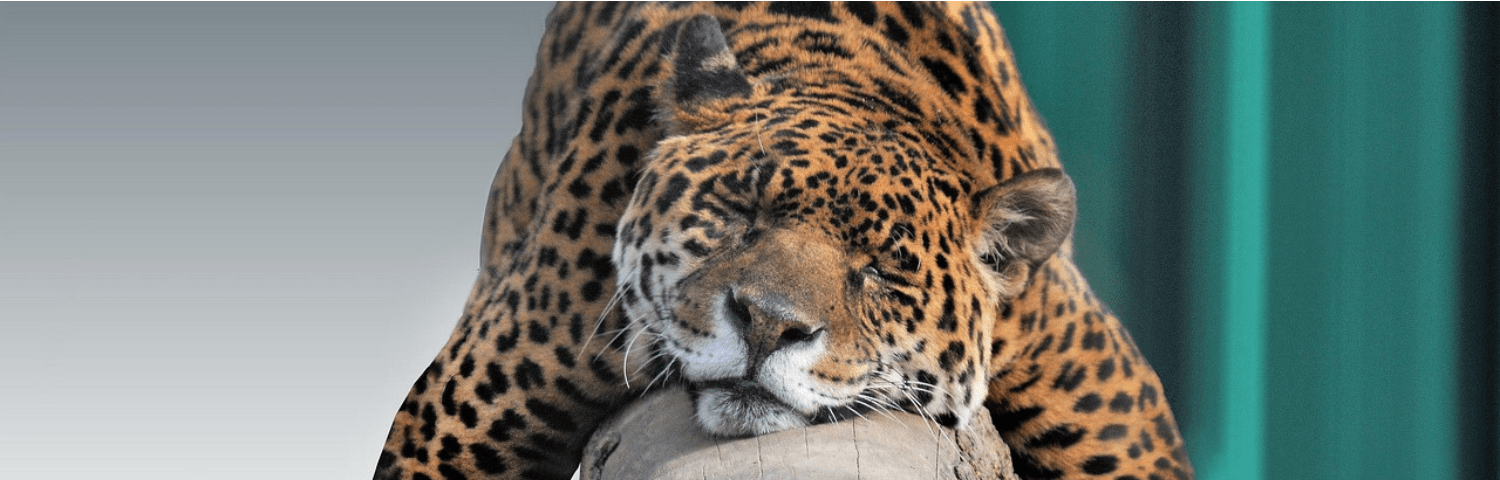 COVERontspannen-metJANNE